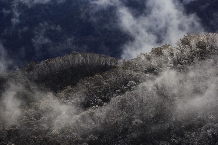 Fresh Snow and Mist behind Vallejo Gantner Hut, AAWT Vallejo Gantner Hut, Alpine National Park