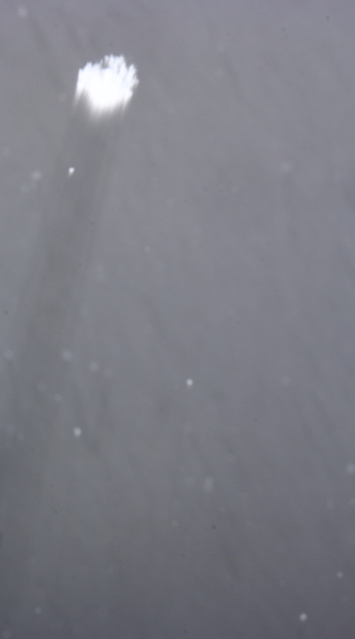 Large Snowflake, AAWT Vallejo Gantner Hut