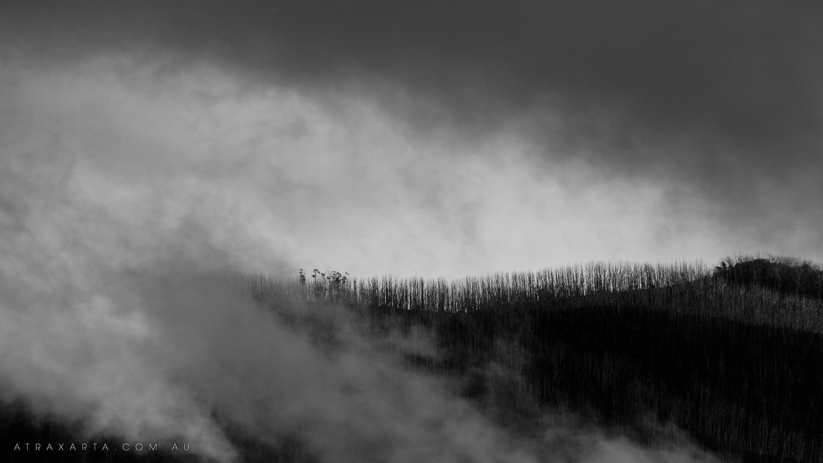 Fire Line, Above Cootapatamba Hut, Kosciuszko National Park