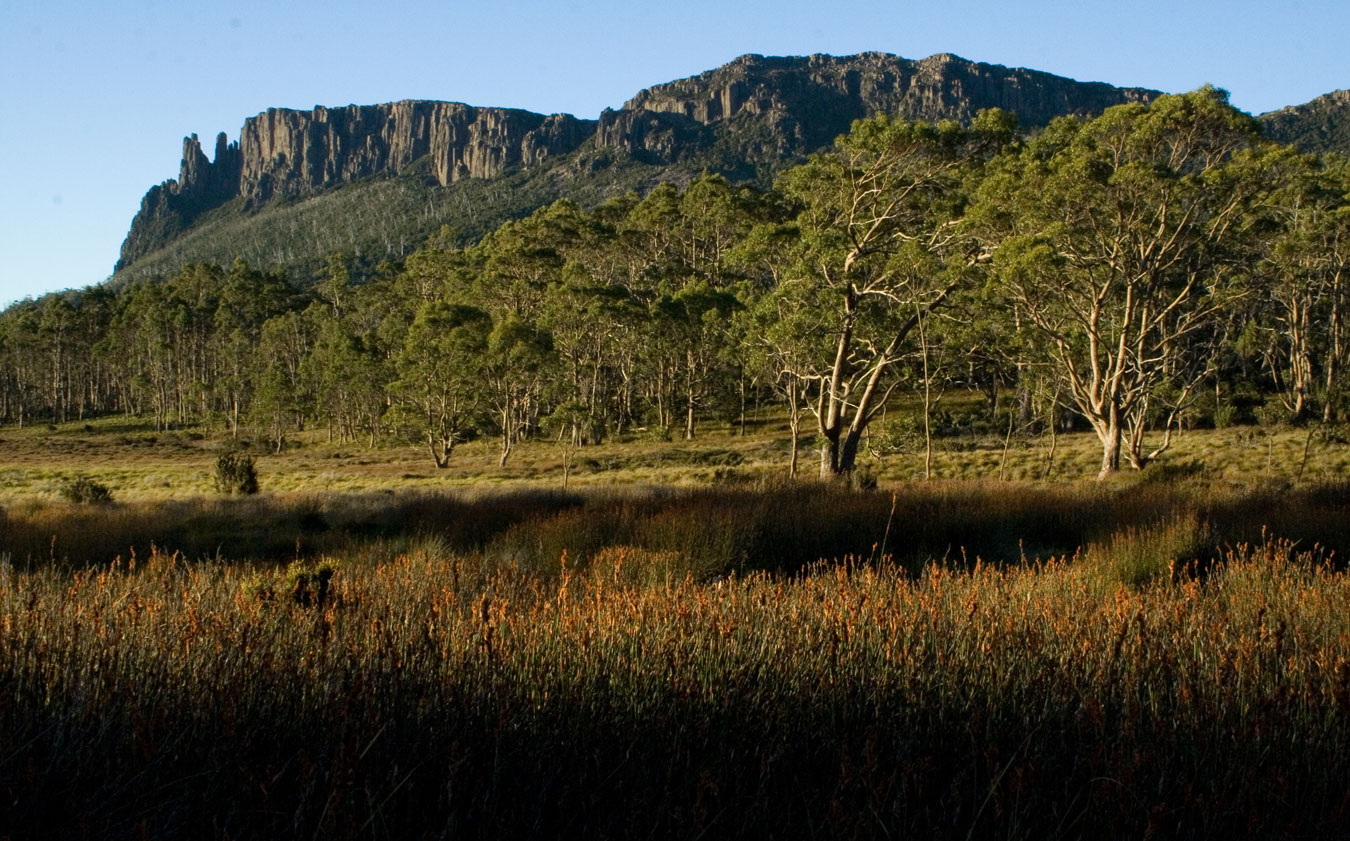 TASAP0009, Pelion Plains, Tasmania
