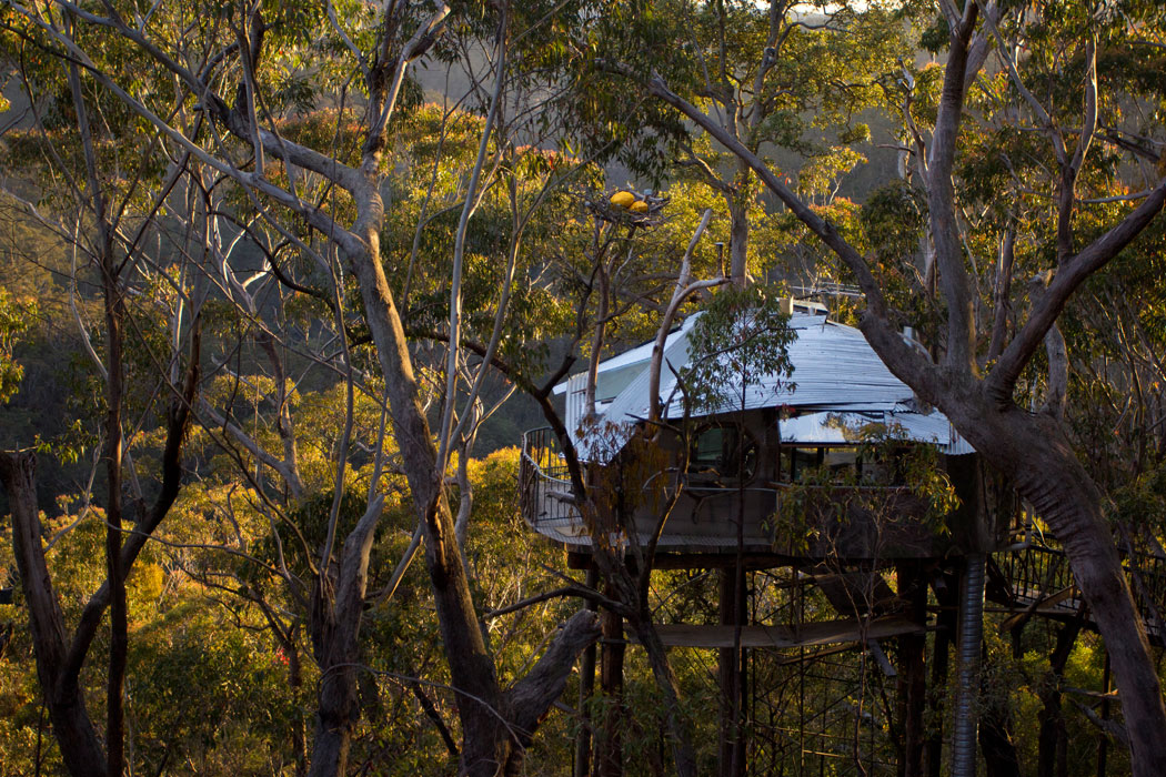 Blue Mountains Treehouse #2, Wollemi Cabins, Blue Mountains Australia